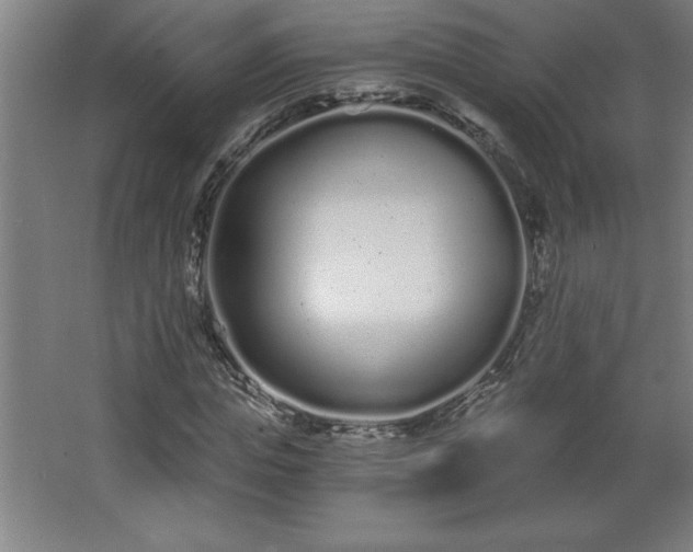 X0000068260823200604281523