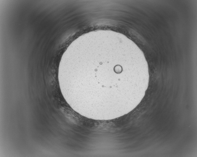 X0000068260824200604281523