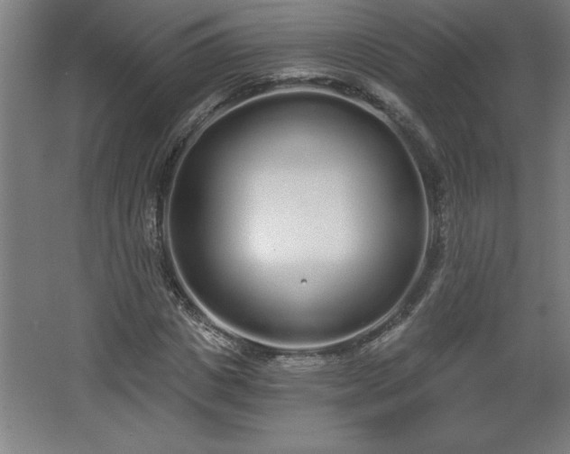 X0000068260825200604281523