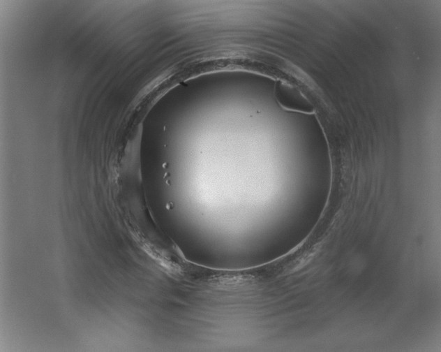 X0000068260826200604281523