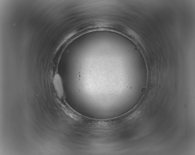 X0000068260827200604281523