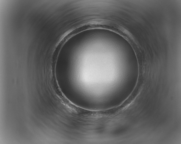 X0000068260829200604281523