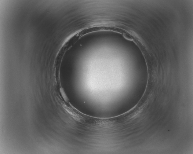 X0000068260830200604281523