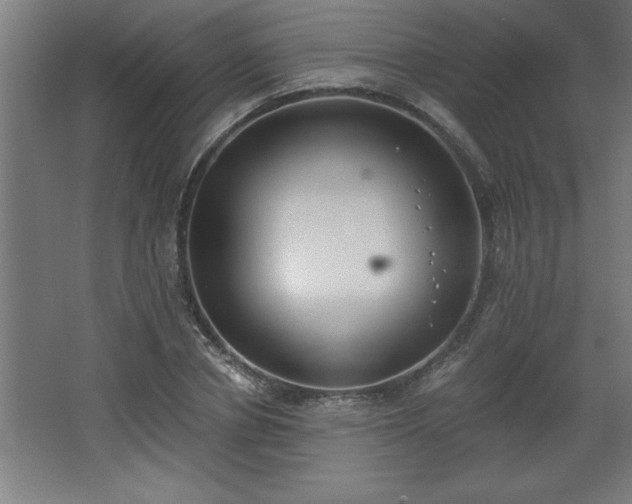 X0000068260834200604281523