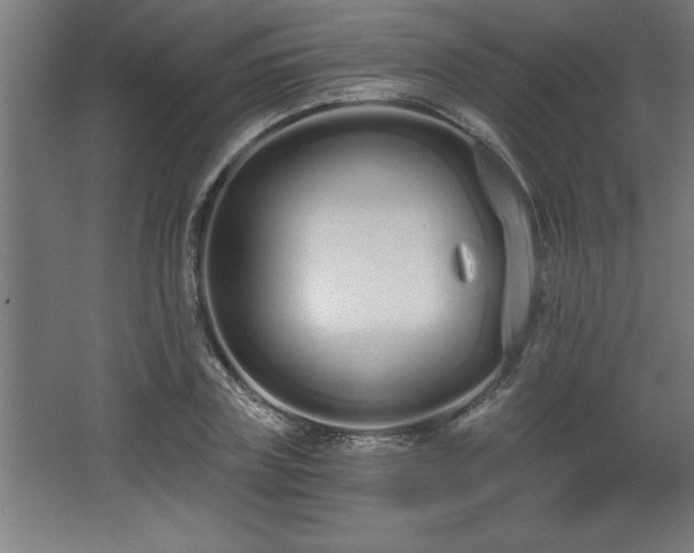 X0000068260835200604281523