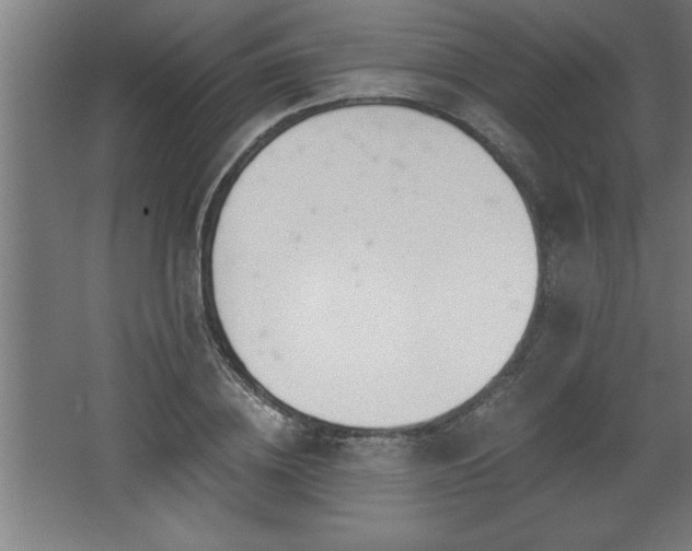 X0000068260836200604281523