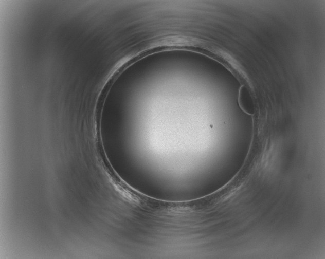 X0000068260837200604281523