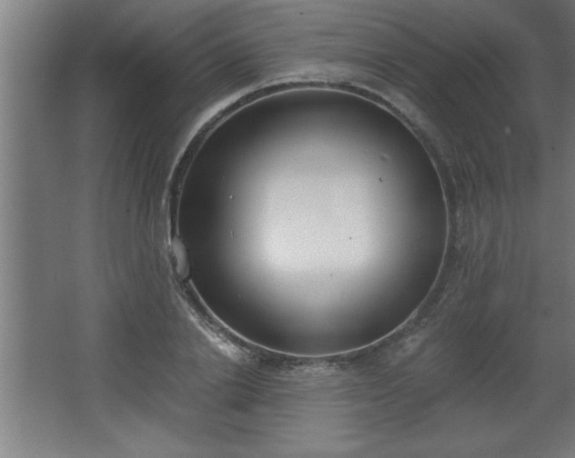 X0000068260838200604281523