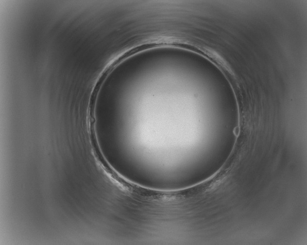 X0000068260839200604281523