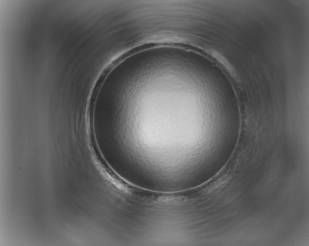 X0000068260840200604281523