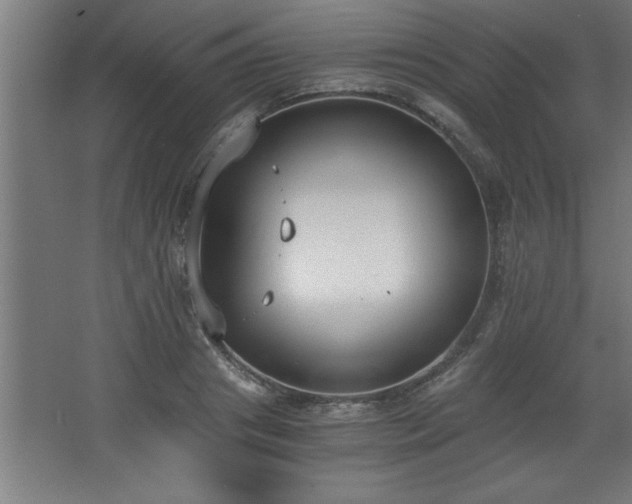 X0000068260841200604281523