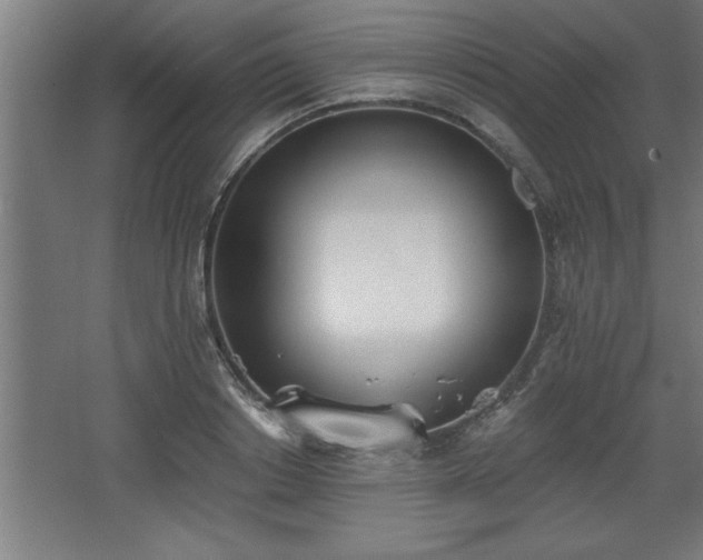 X0000068260842200604281523