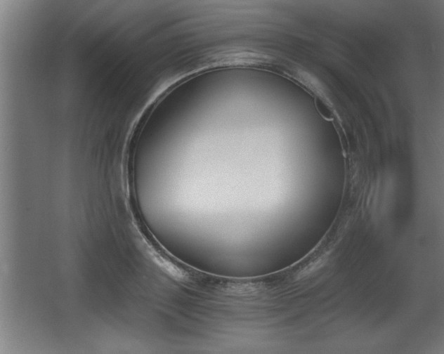 X0000068260843200604281523