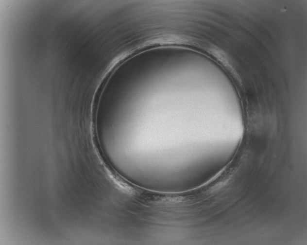 X0000068260845200604281523