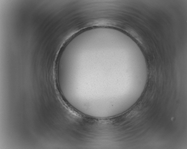 X0000068260848200604281524