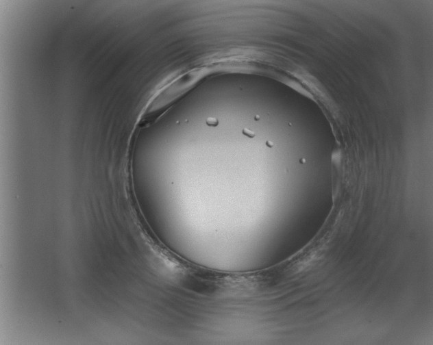 X0000068260850200604281524