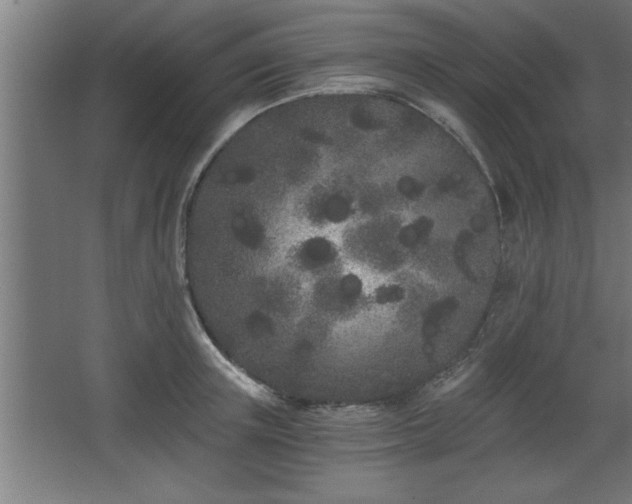 X0000068260851200604281524