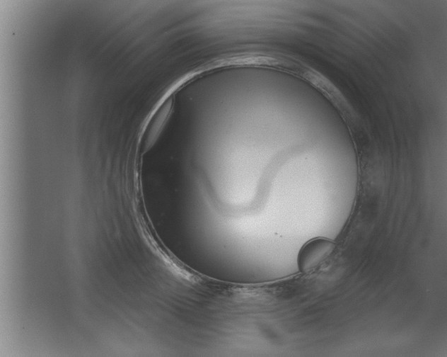 X0000068260852200604281524