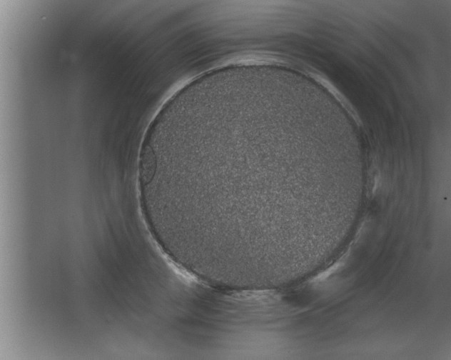 X0000068260853200604281524