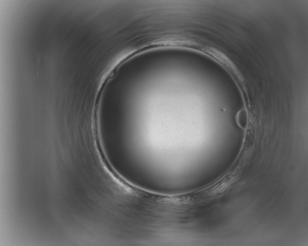 X0000068260855200604281524