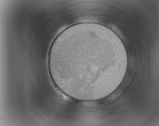 X0000068260856200604281524