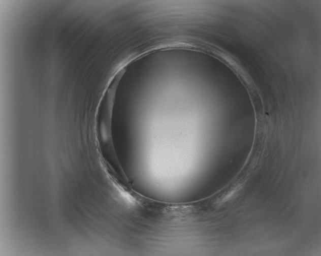 X0000068260858200604281524