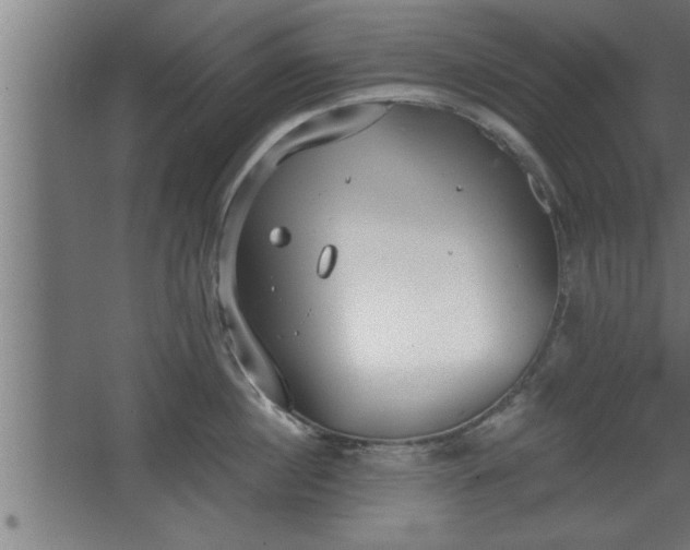 X0000068260860200604281524