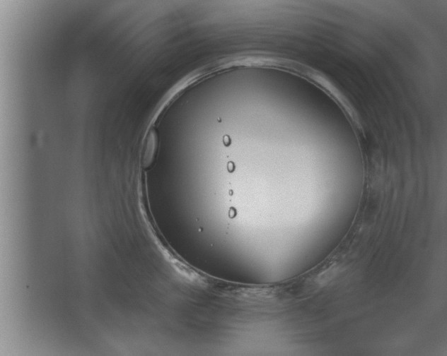 X0000068260861200604281524