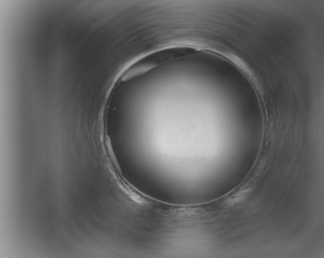 X0000068260862200604281524