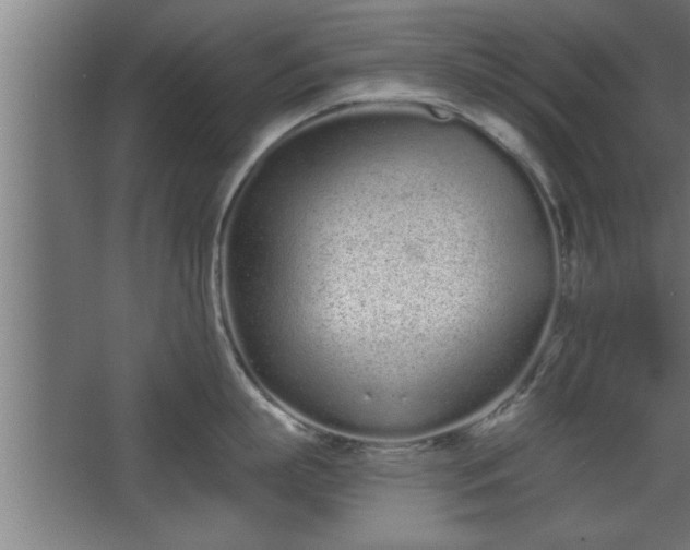 X0000068260863200604281524