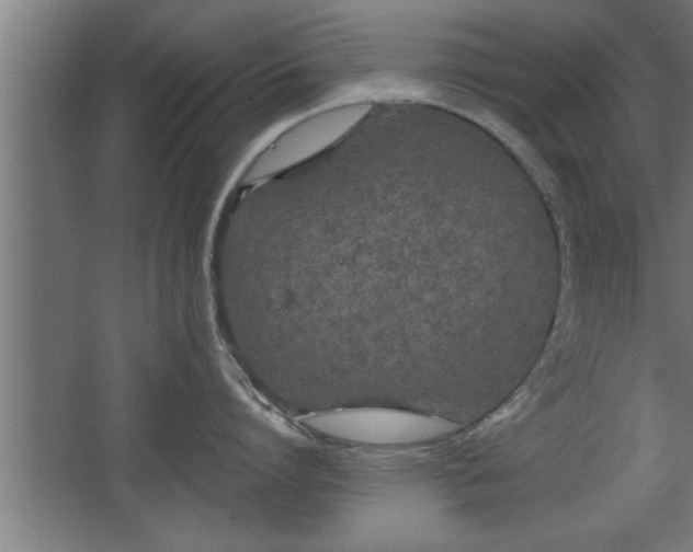 X0000068260864200604281524