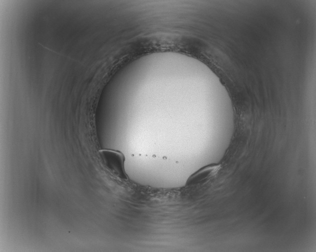 X0000068260865200604281523