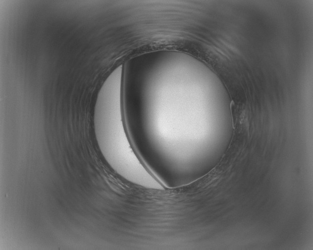 X0000068260868200604281523