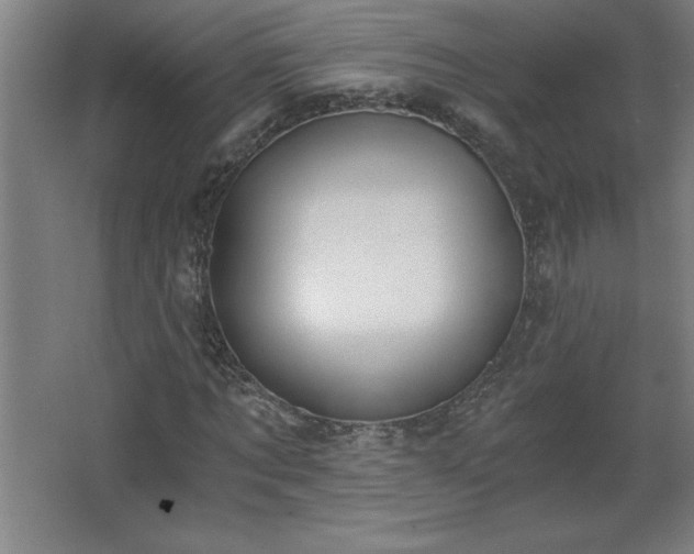 X0000068260869200604281523