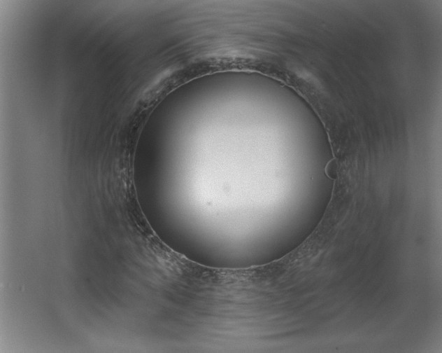 X0000068260870200604281523