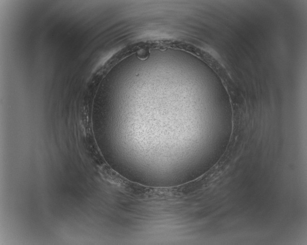 X0000068260871200604281523