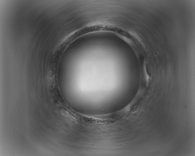 X0000068260872200604281523