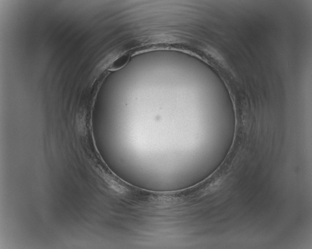 X0000068260873200604281523