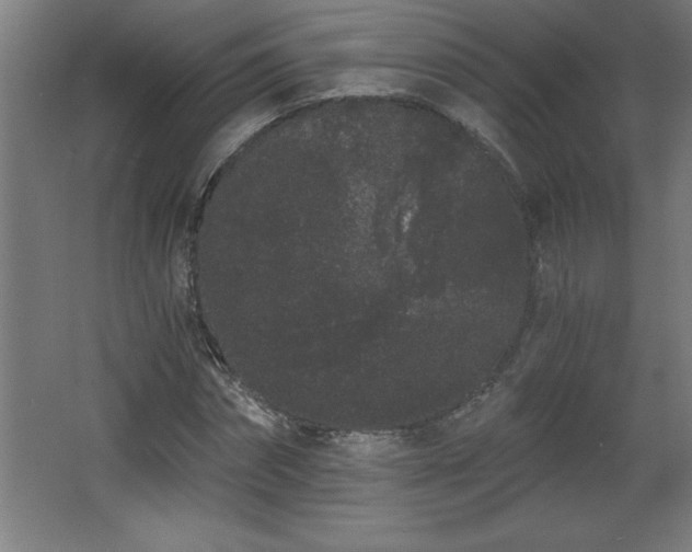 X0000068260874200604281523