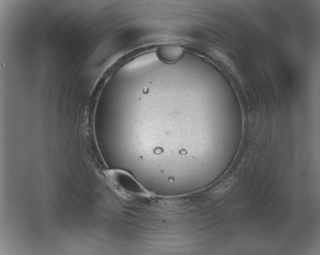 X0000068260875200604281523