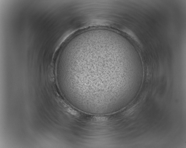 X0000068260878200604281523