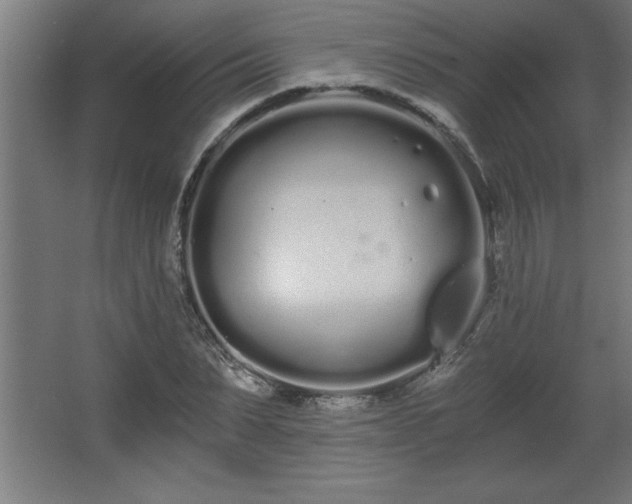 X0000068260879200604281523