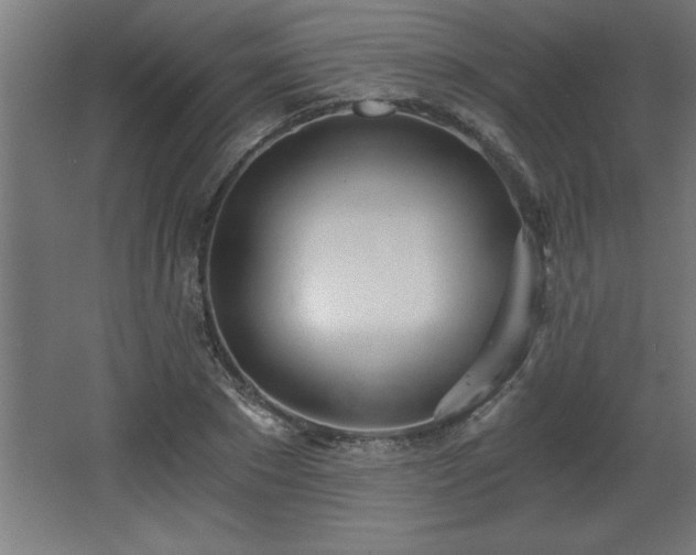 X0000068260881200604281523