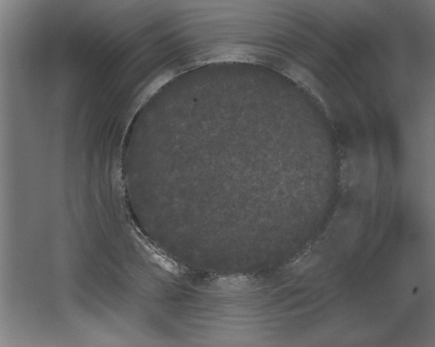 X0000068260882200604281523