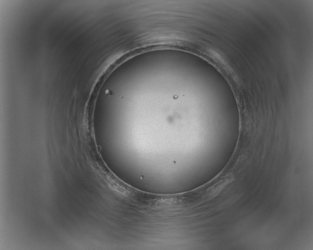 X0000068260883200604281523