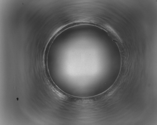 X0000068260884200604281523