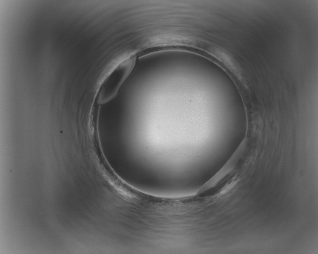 X0000068260885200604281523