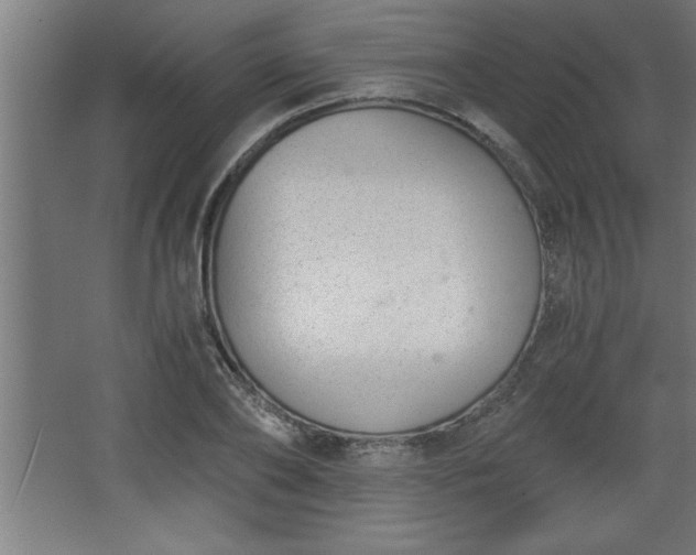 X0000068260886200604281523