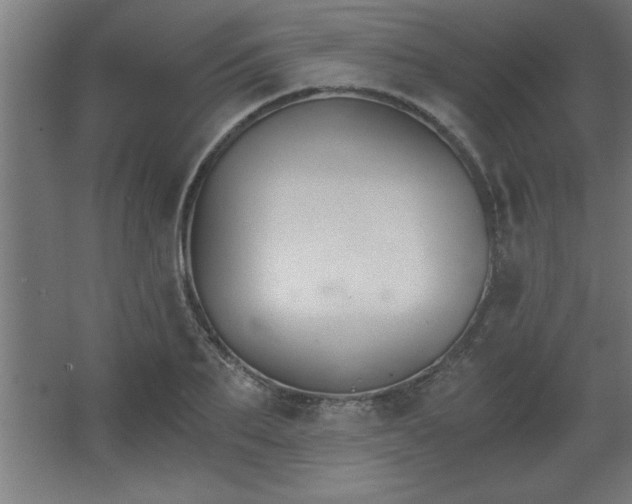 X0000068260887200604281523