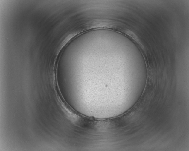 X0000068260890200604281523